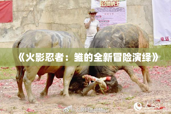 《火影忍者：雏的全新冒险演绎》