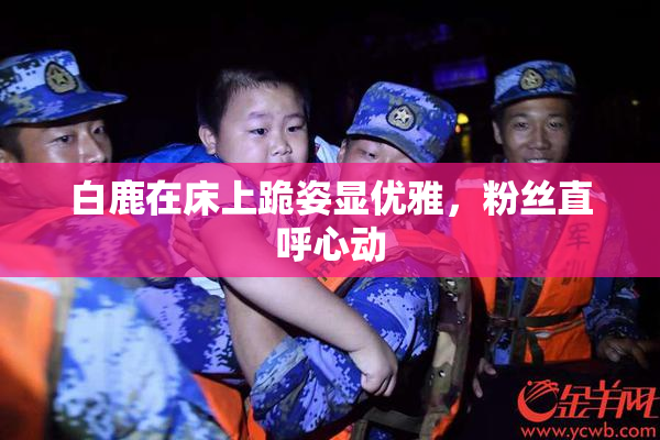 白鹿在床上跪姿显优雅，粉丝直呼心动