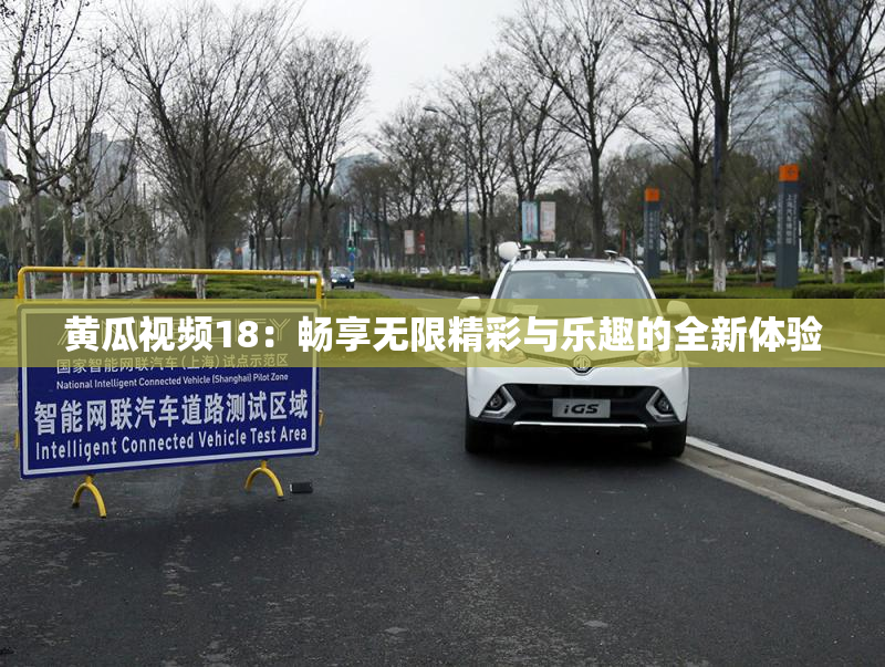 黄瓜视频18：畅享无限精彩与乐趣的全新体验