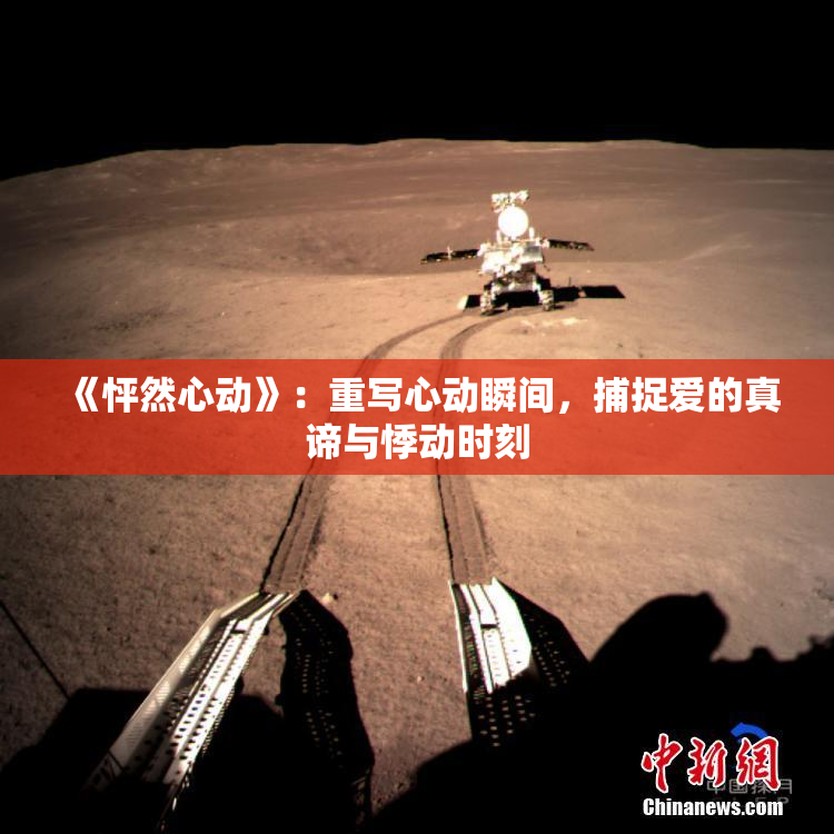 《怦然心动》：重写心动瞬间，捕捉爱的真谛与悸动时刻