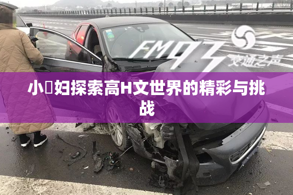 小婬妇探索高H文世界的精彩与挑战