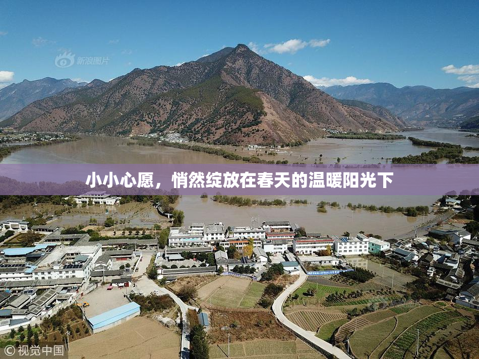 小小心愿，悄然绽放在春天的温暖阳光下