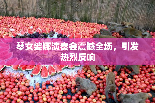 琴女娑娜演奏会震撼全场，引发热烈反响