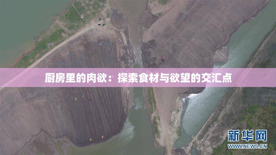 厨房里的肉欲：探索食材与欲望的交汇点