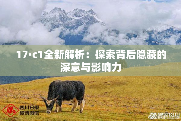 17·c1全新解析：探索背后隐藏的深意与影响力