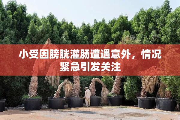 小受因膀胱灌肠遭遇意外，情况紧急引发关注