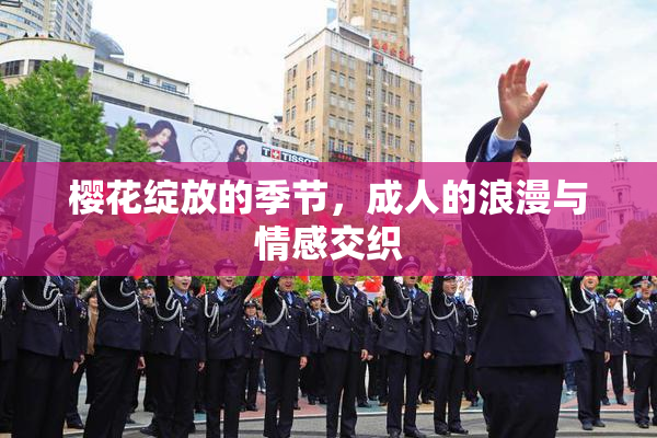 樱花绽放的季节，成人的浪漫与情感交织