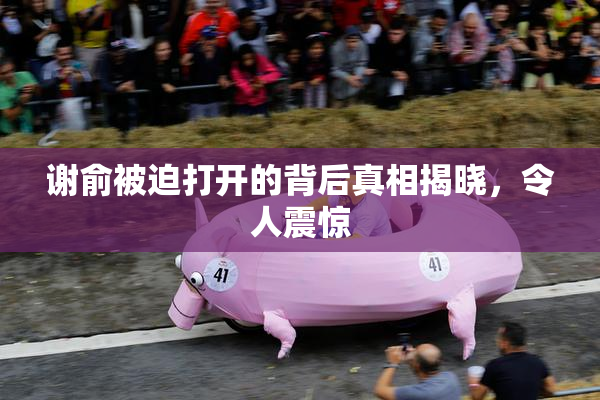 谢俞被迫打开的背后真相揭晓，令人震惊