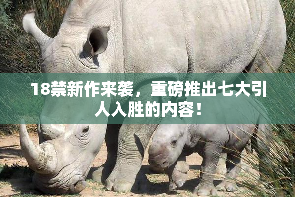18禁新作来袭，重磅推出七大引人入胜的内容！