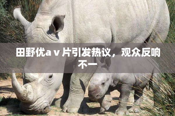 田野优aⅴ片引发热议，观众反响不一