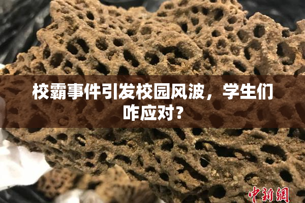 校霸事件引发校园风波，学生们咋应对？