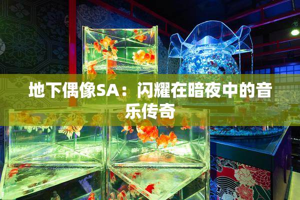 地下偶像SA：闪耀在暗夜中的音乐传奇