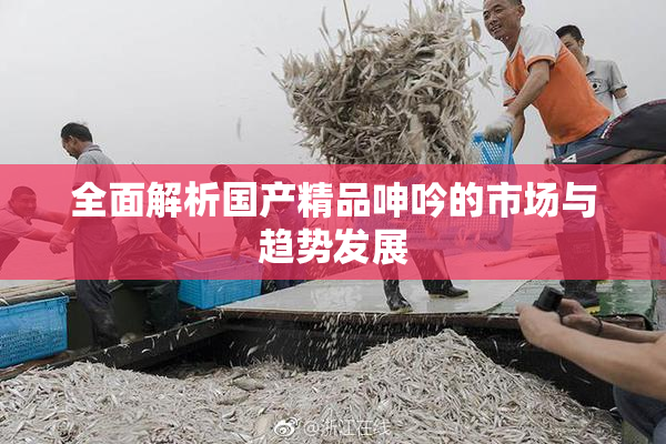 全面解析国产精品呻吟的市场与趋势发展