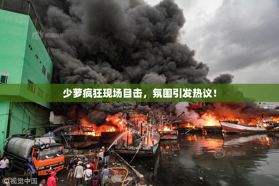 少萝疯狂现场目击，氛围引发热议！