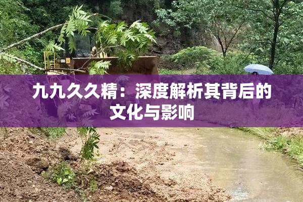 九九久久精：深度解析其背后的文化与影响