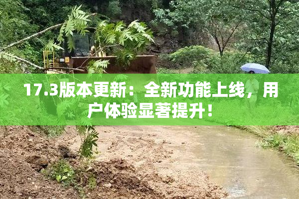 17.3版本更新：全新功能上线，用户体验显著提升！