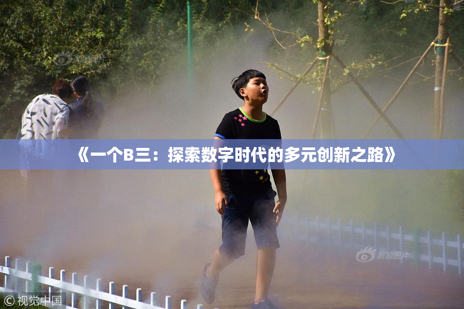 《一个B三：探索数字时代的多元创新之路》