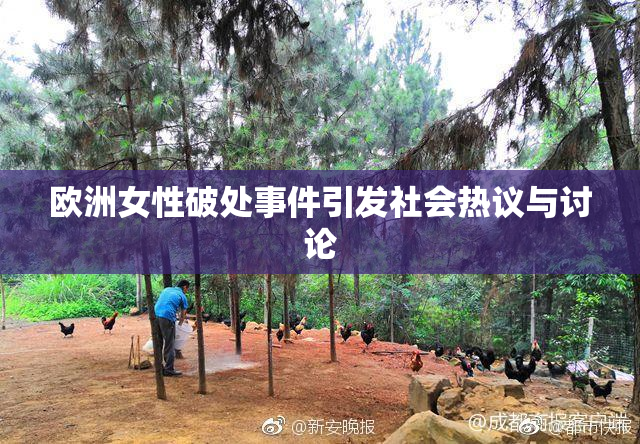 欧洲女性破处事件引发社会热议与讨论