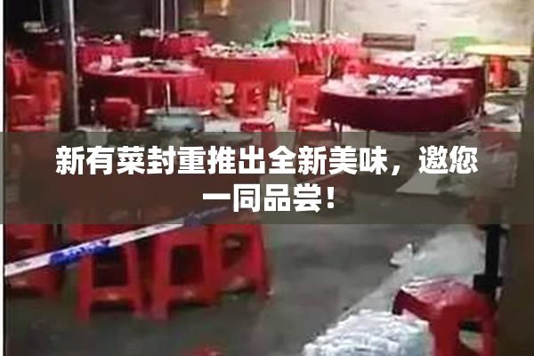 新有菜封重推出全新美味，邀您一同品尝！