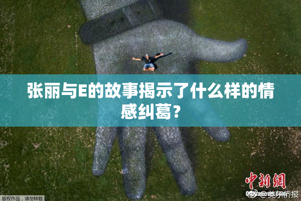 张丽与E的故事揭示了什么样的情感纠葛？