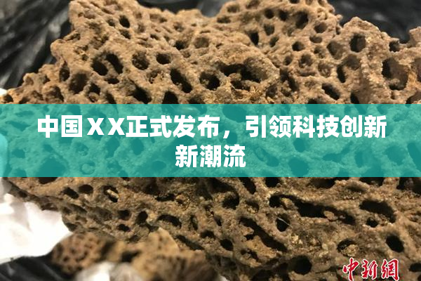 中国ⅩX正式发布，引领科技创新新潮流