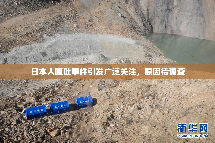 日本人呕吐事件引发广泛关注，原因待调查