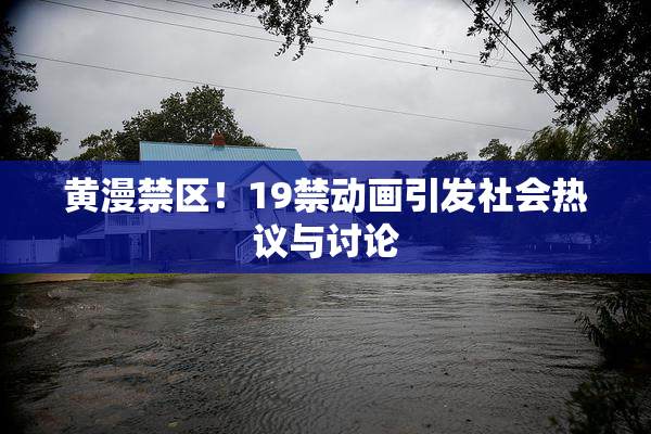 黄漫禁区！19禁动画引发社会热议与讨论