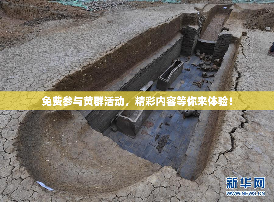 免费参与黄群活动，精彩内容等你来体验！