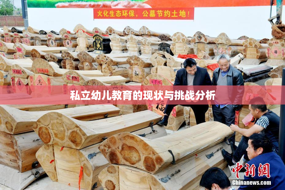 私立幼儿教育的现状与挑战分析