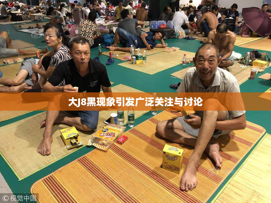 大J8黑现象引发广泛关注与讨论