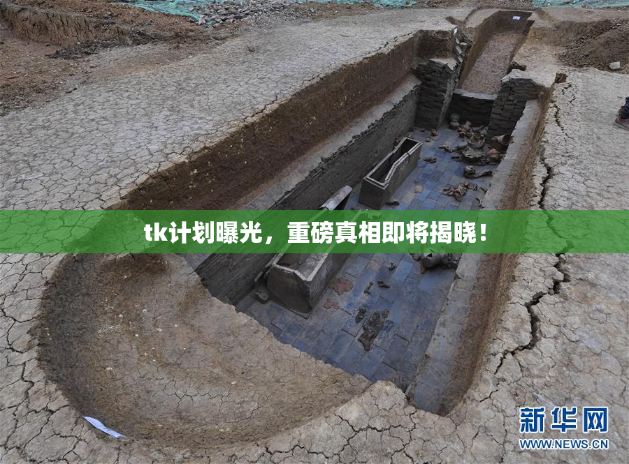 tk计划曝光，重磅真相即将揭晓！