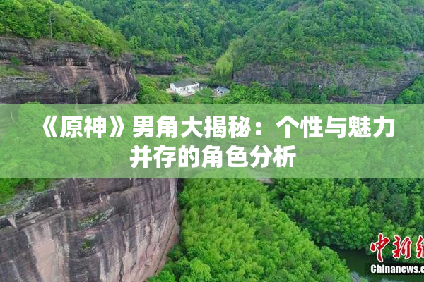 《原神》男角大揭秘：个性与魅力并存的角色分析