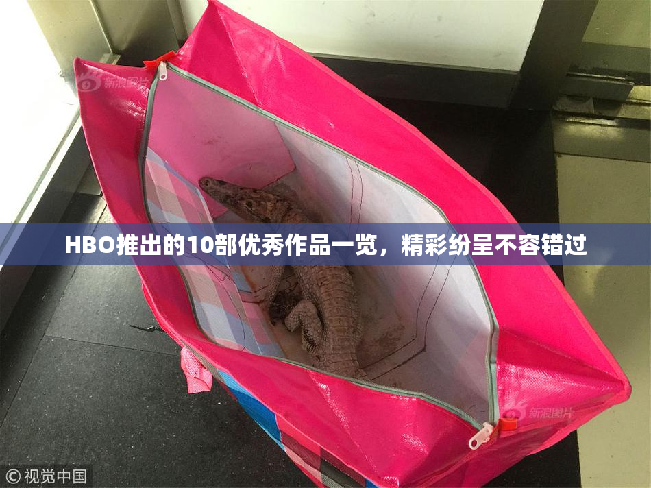 HBO推出的10部优秀作品一览，精彩纷呈不容错过