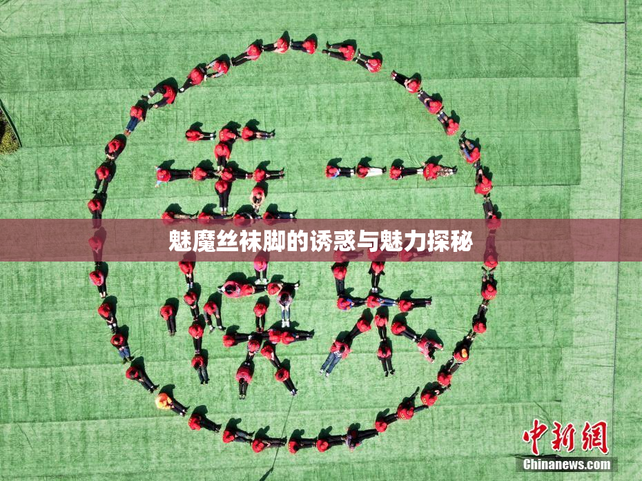 魅魔丝袜脚的诱惑与魅力探秘