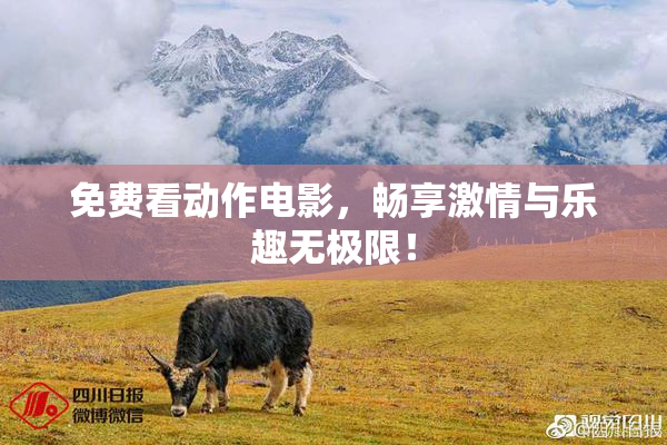 免费看动作电影，畅享激情与乐趣无极限！