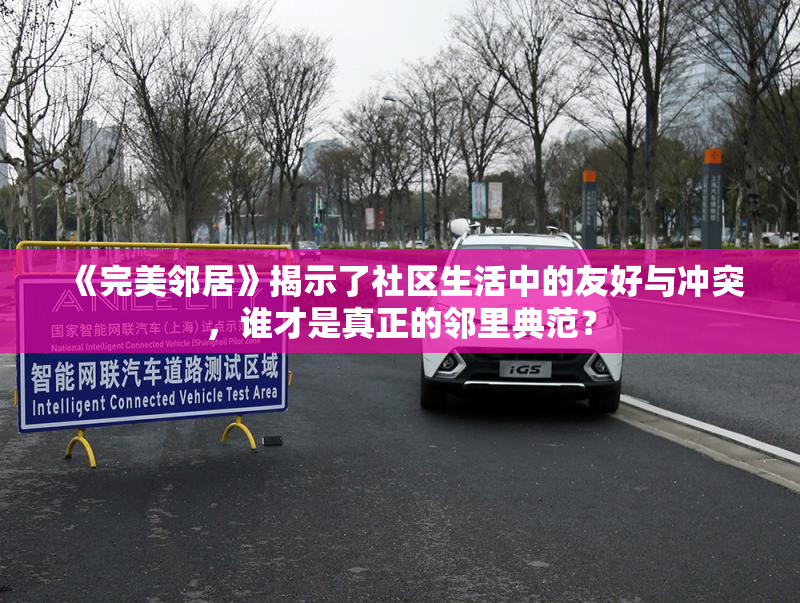 《完美邻居》揭示了社区生活中的友好与冲突，谁才是真正的邻里典范？