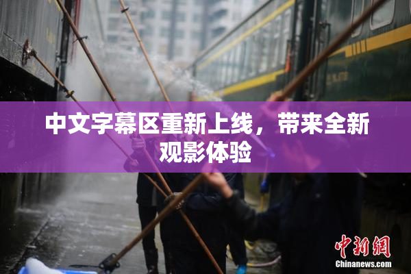 中文字幕区重新上线，带来全新观影体验