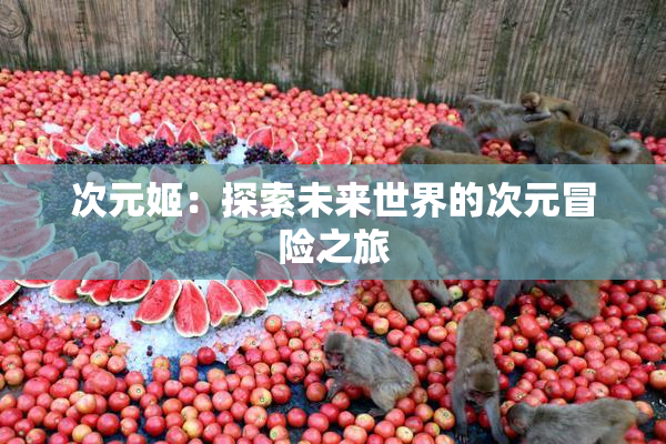 次元姬：探索未来世界的次元冒险之旅