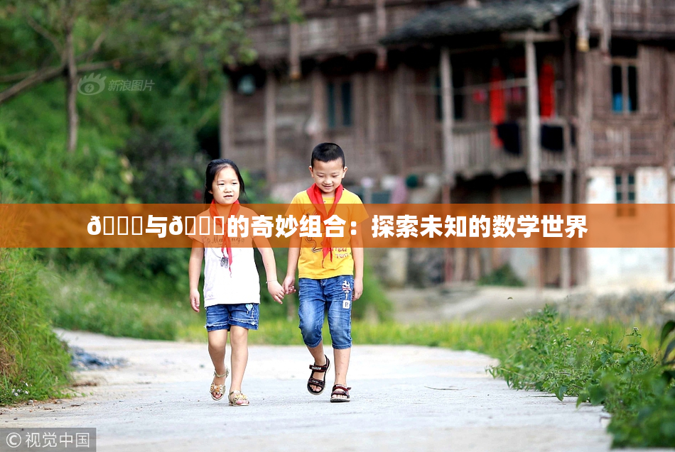 🍆与🔞的奇妙组合：探索未知的数学世界