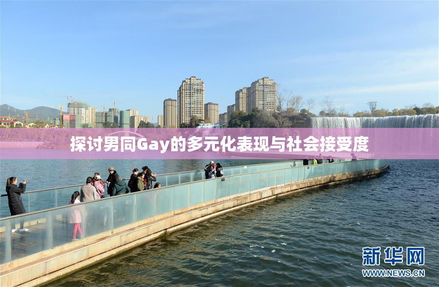 探讨男同Gay的多元化表现与社会接受度