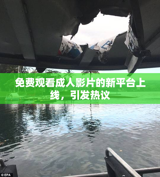 免费观看成人影片的新平台上线，引发热议