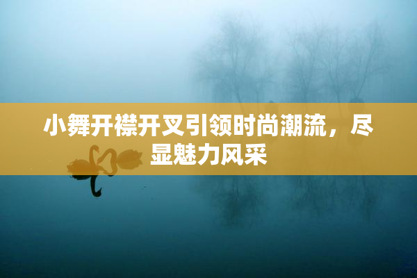 小舞开襟开叉引领时尚潮流，尽显魅力风采