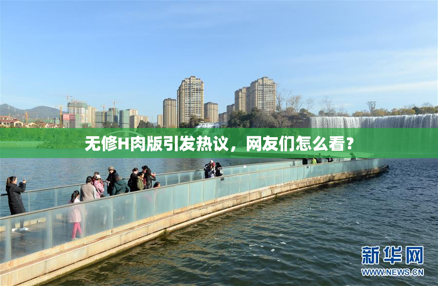 无修H肉版引发热议，网友们怎么看？