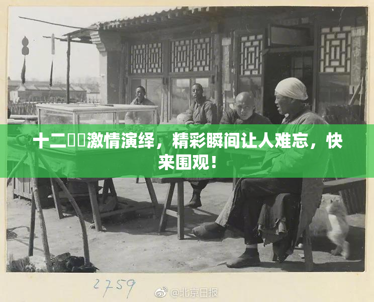 十二妺妺激情演绎，精彩瞬间让人难忘，快来围观！