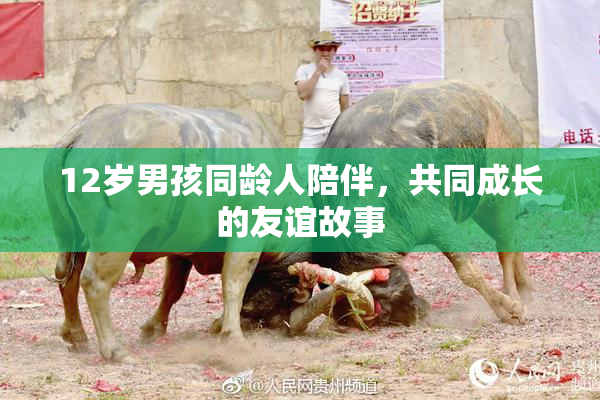 12岁男孩同龄人陪伴，共同成长的友谊故事