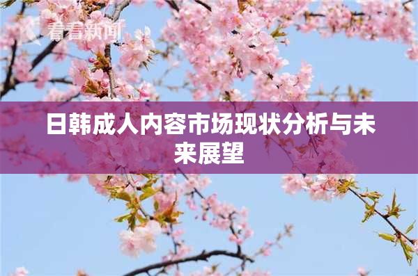 日韩成人内容市场现状分析与未来展望