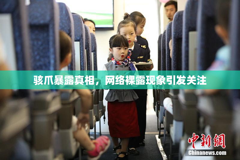 骇爪暴露真相，网络裸露现象引发关注