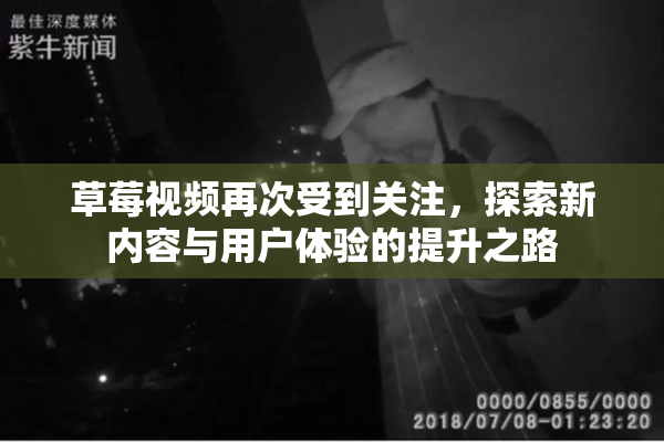 草莓视频再次受到关注，探索新内容与用户体验的提升之路