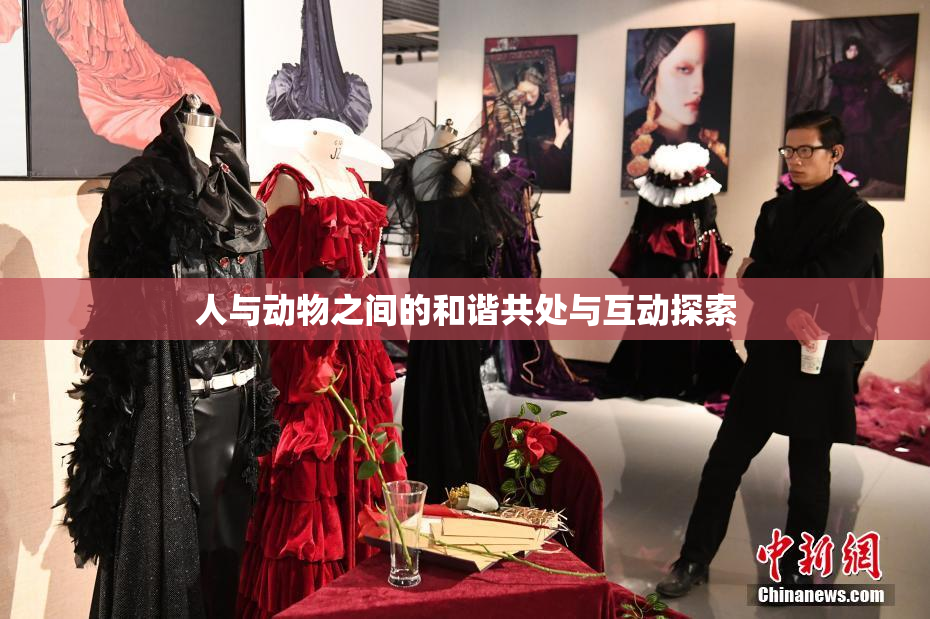 人与动物之间的和谐共处与互动探索