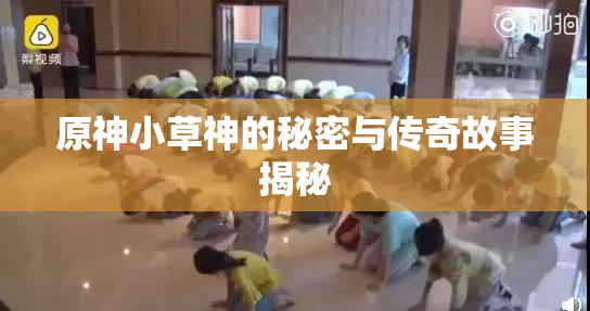 原神小草神的秘密与传奇故事揭秘